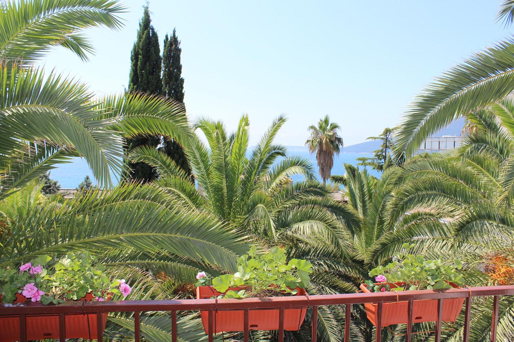 Apartmani I Sobe Goca Herceg Novi Eksteriør billede