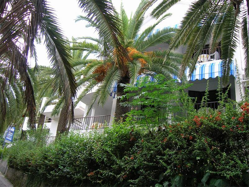 Apartmani I Sobe Goca Herceg Novi Eksteriør billede