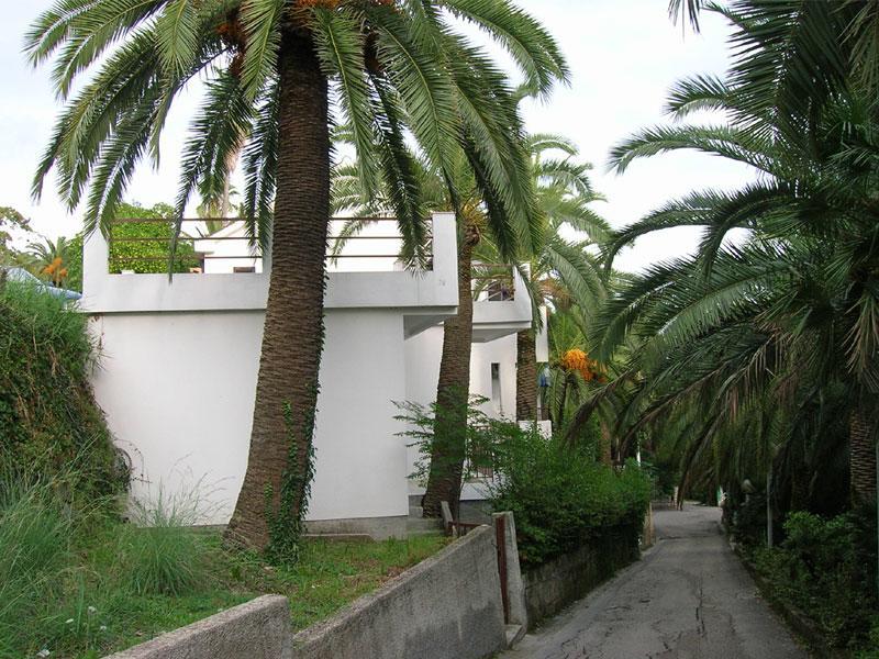 Apartmani I Sobe Goca Herceg Novi Eksteriør billede
